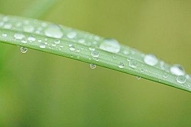 《生化4重制》白金奖杯挑战要求公布 限时通关游戏